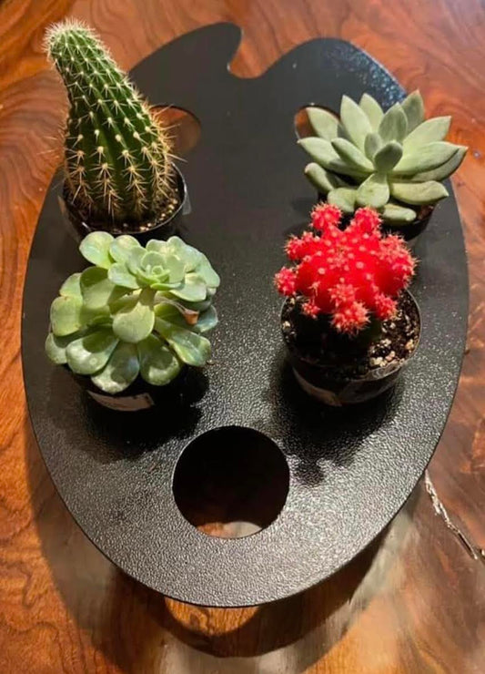 Plant Palette